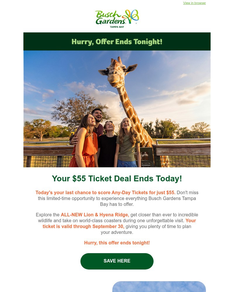 Screenshot of email with subject /media/emails/ends-tonight-55-for-any-day-tickets-a80d54-cropped-8f348136.jpg