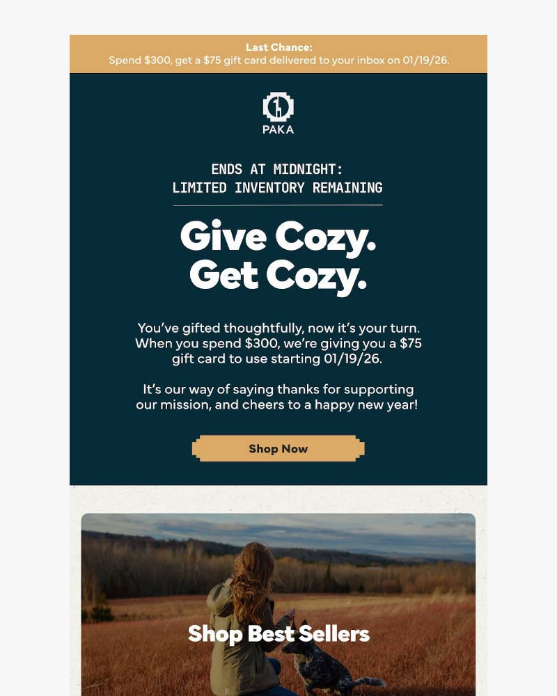 Screenshot of email with subject /media/emails/ends-tonight-alpaca-hugs-for-them-you-ad0576-cropped-65cbbd25.jpg