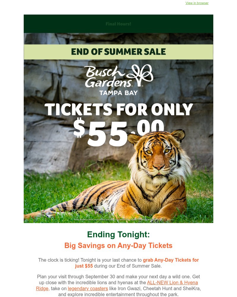Screenshot of email with subject /media/emails/ends-tonight-any-day-tickets-for-just-55-c8100c-cropped-cd0b8495.jpg