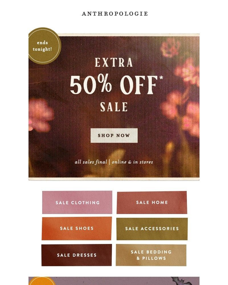 Screenshot of email with subject /media/emails/ends-tonight-extra-50-off-sale-7e90e0-cropped-a73ca79e.jpg