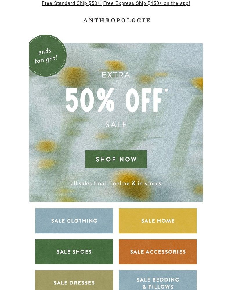 Screenshot of email sent to a Anthropologie Newsletter subscriber