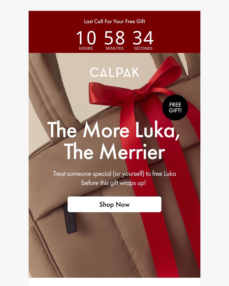 Screenshot of email sent to a Calpak Newsletter subscriber