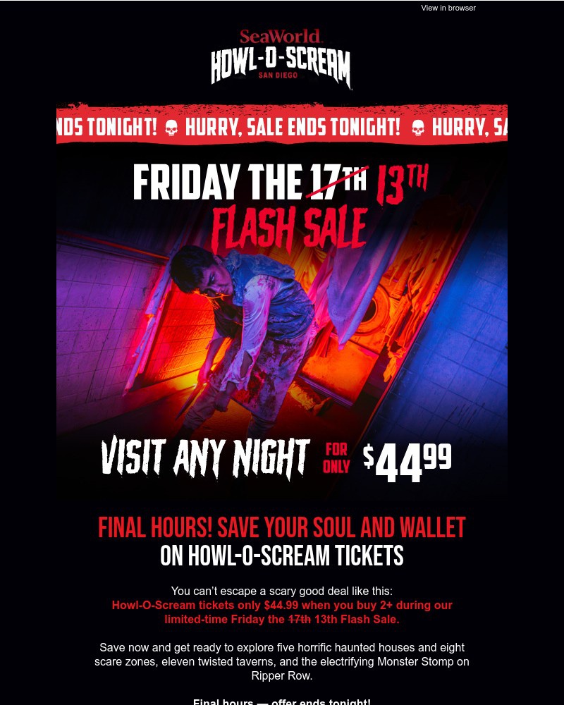 Screenshot of email with subject /media/emails/ends-tonight-friday-the-13th-flash-sale-visit-any-night-only-4499-b7055c-cropped-825dbd8a.jpg