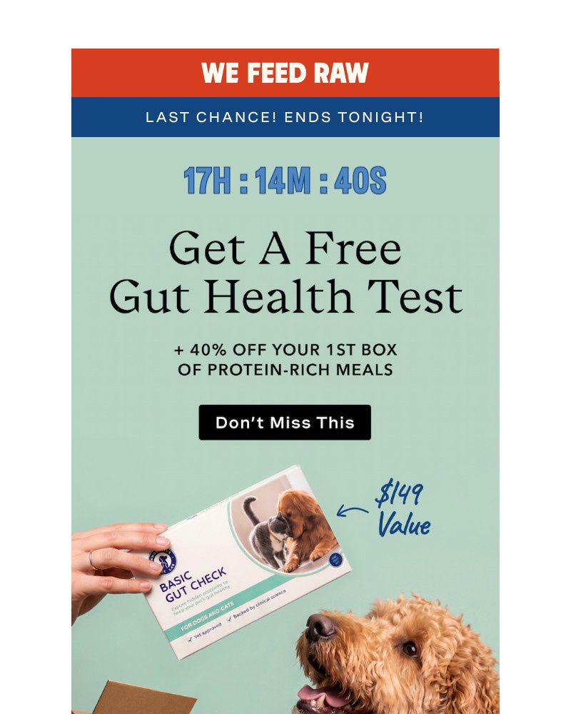 Screenshot of email sent to a We Feed Raw Newsletter subscriber