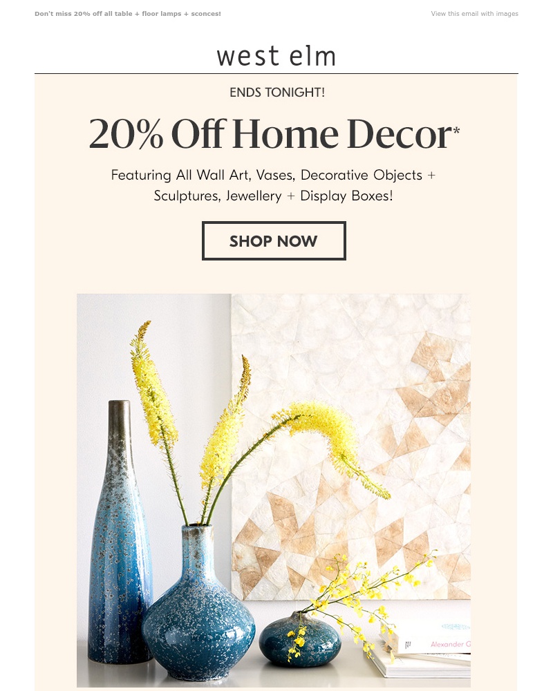 Screenshot of email with subject /media/emails/ends-tonight-incredible-sales-on-all-home-decor-cropped-b5ea11c1.jpg