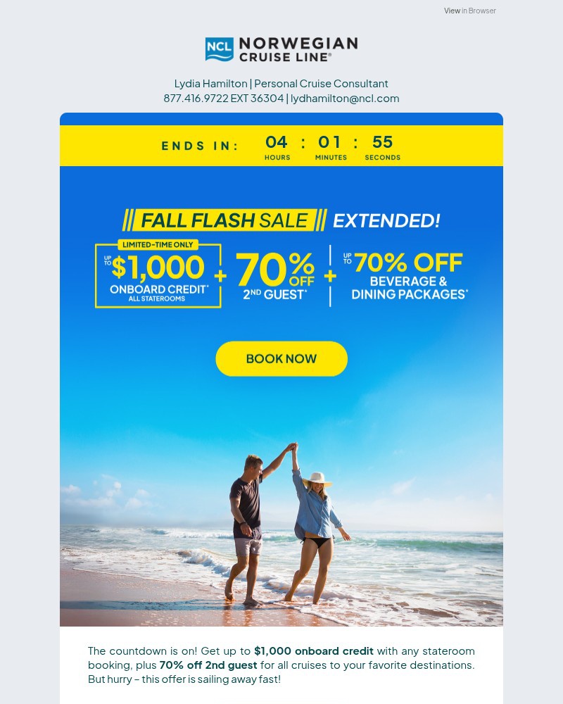 Screenshot of email with subject /media/emails/ends-tonight-last-chance-for-our-fall-flash-sale-6de0ca-cropped-e386a2d5.jpg