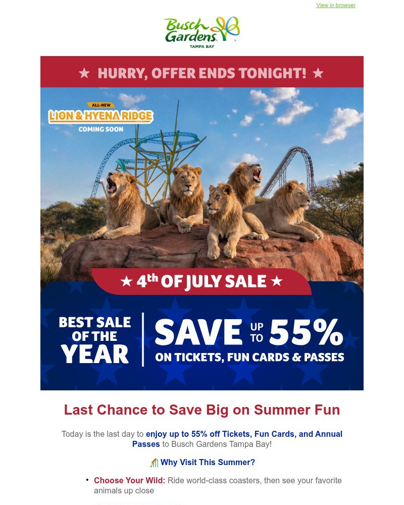 Screenshot of email sent to a Busch Gardens Newsletter subscriber