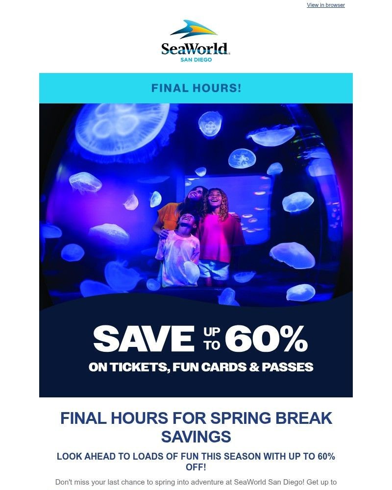 Screenshot of email sent to a Sea World Newsletter subscriber