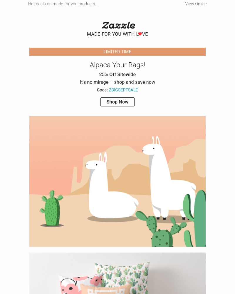 Screenshot of email with subject /media/emails/enjoy-25-off-sitewide-in-our-season-sale-cropped-c5be3407.jpg
