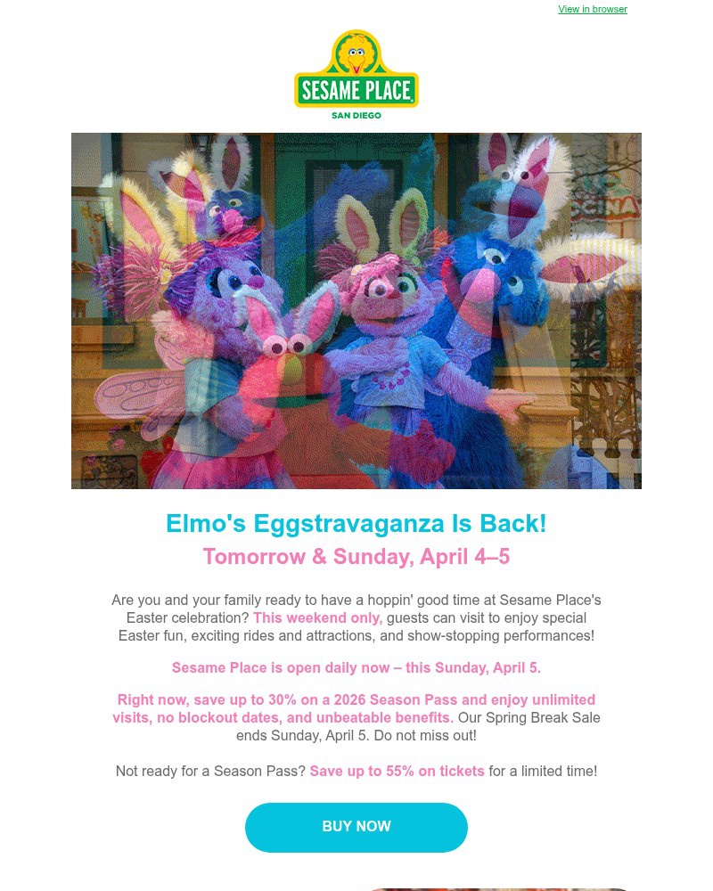 Screenshot of email sent to a Sea World Newsletter subscriber