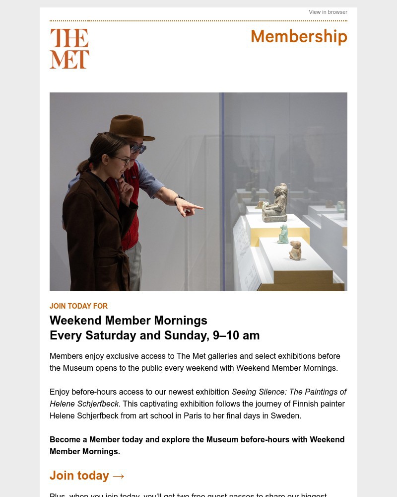 Screenshot of email with subject /media/emails/enjoy-exclusive-access-to-the-mets-galleries-165b7a-cropped-17e3ed07.jpg