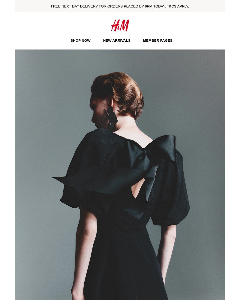 Screenshot of email with subject /media/emails/enjoy-free-next-day-delivery-89d8f8-cropped-7b112d7e.jpg