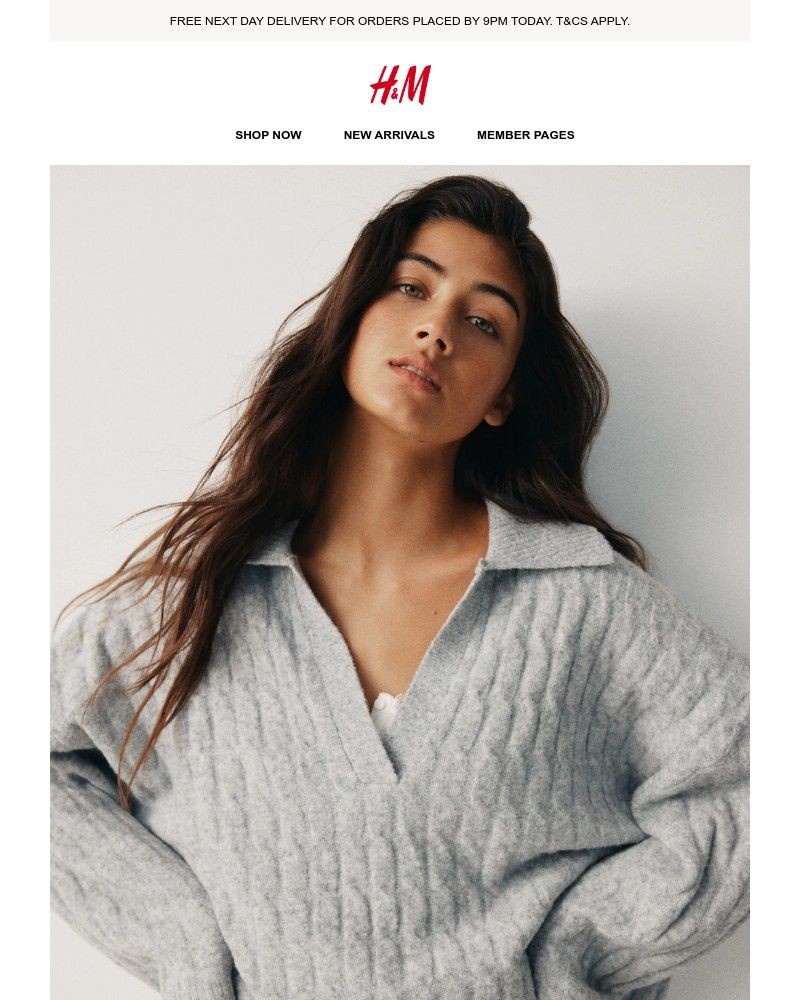 Screenshot of email with subject /media/emails/enjoy-free-next-day-delivery-today-0b12ae-cropped-e18d19b0.jpg