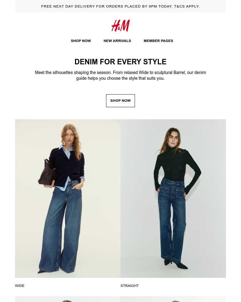 Screenshot of email with subject /media/emails/enjoy-free-next-day-delivery-today-46be8b-cropped-b0fa9fb4.jpg