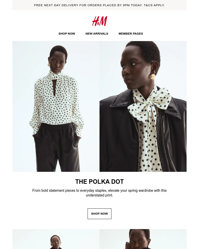 Screenshot of email with subject /media/emails/enjoy-free-next-day-delivery-today-c8db96-cropped-cf9abb81.jpg