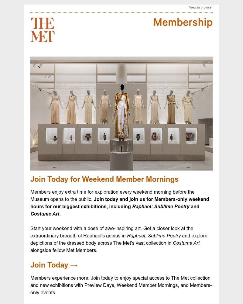 Screenshot of email sent to a The Metropolitan Museum of Art (The Met) Newsletter subscriber