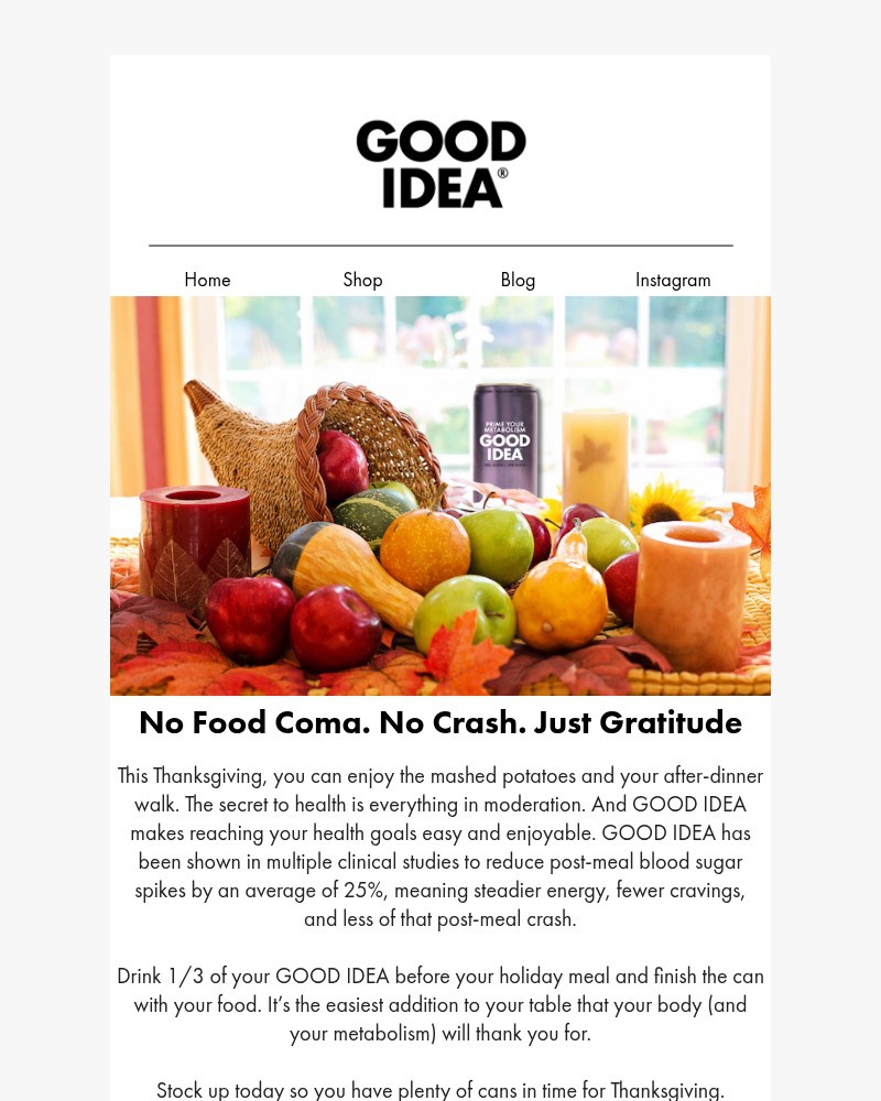 Screenshot of email sent to a Good Idea Newsletter subscriber