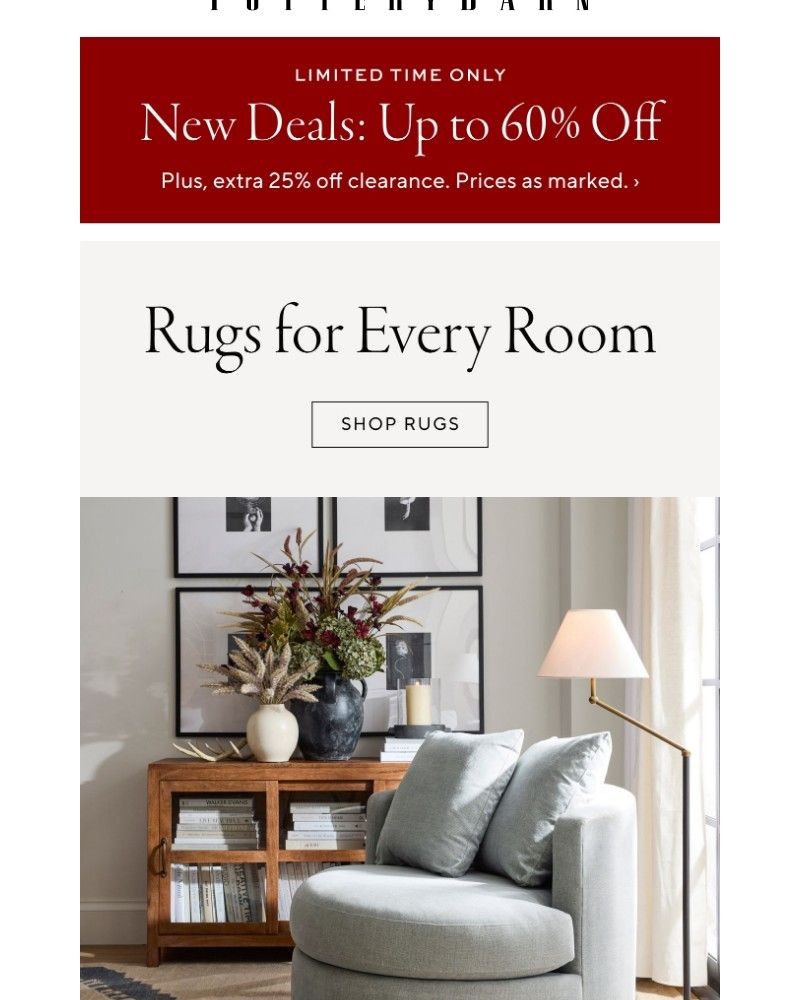 Screenshot of email with subject /media/emails/enjoy-up-to-60-off-extra-25-off-clearance-the-right-rug-changes-everything-df179a_rFUAx1B.jpg