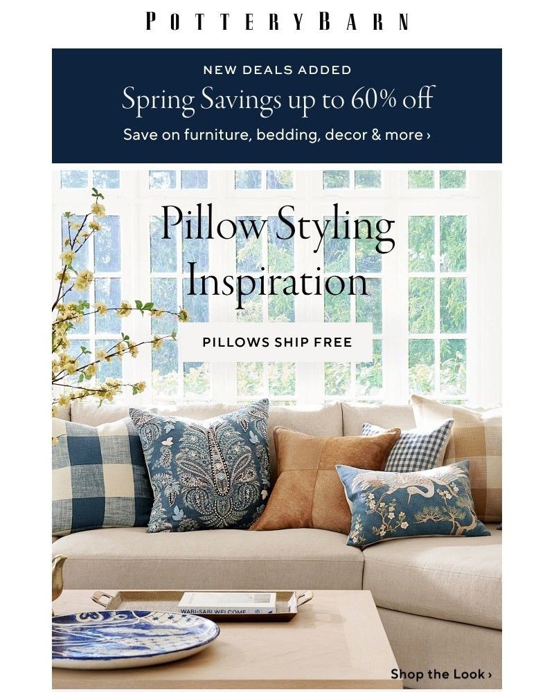 Screenshot of email with subject /media/emails/enjoy-up-to-60-off-new-pillow-pairings-10709e-cropped-2fe0e2b8.jpg