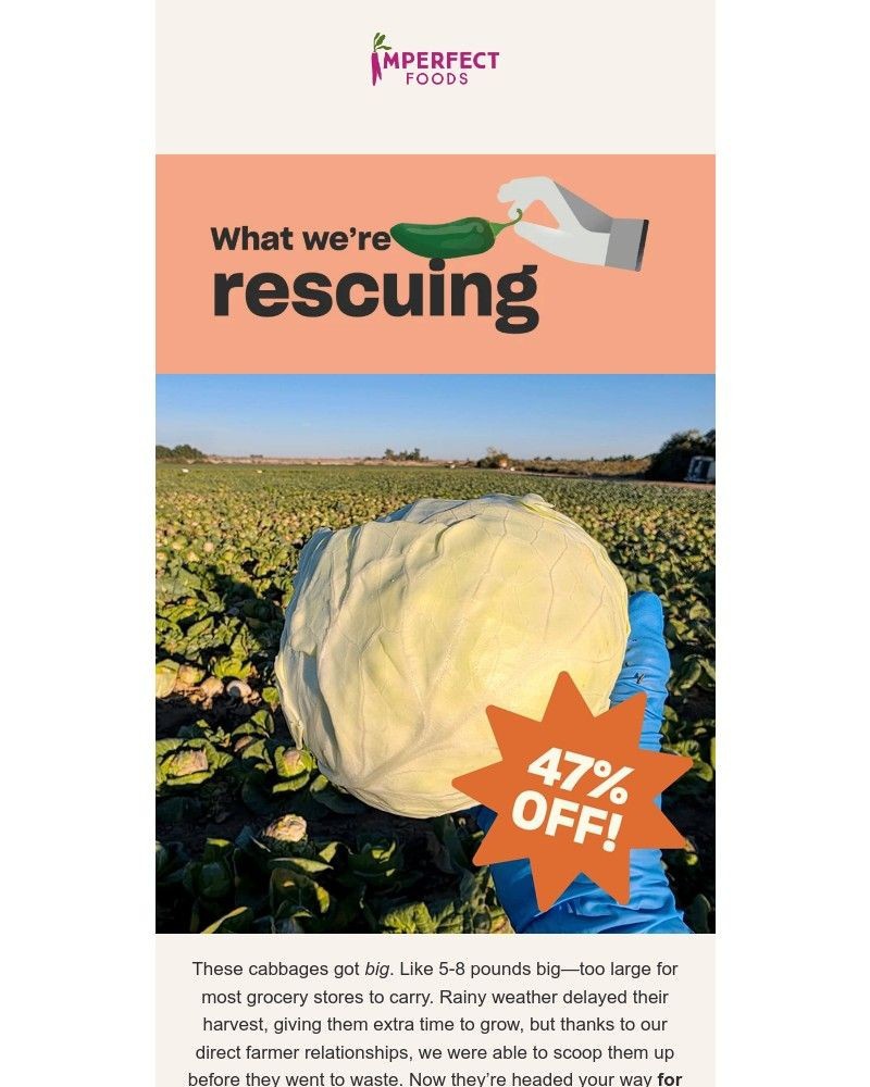 Screenshot of email with subject /media/emails/enormous-cabbages-on-sale-whats-new-this-week-ce7cd1-cropped-d29687ad.jpg