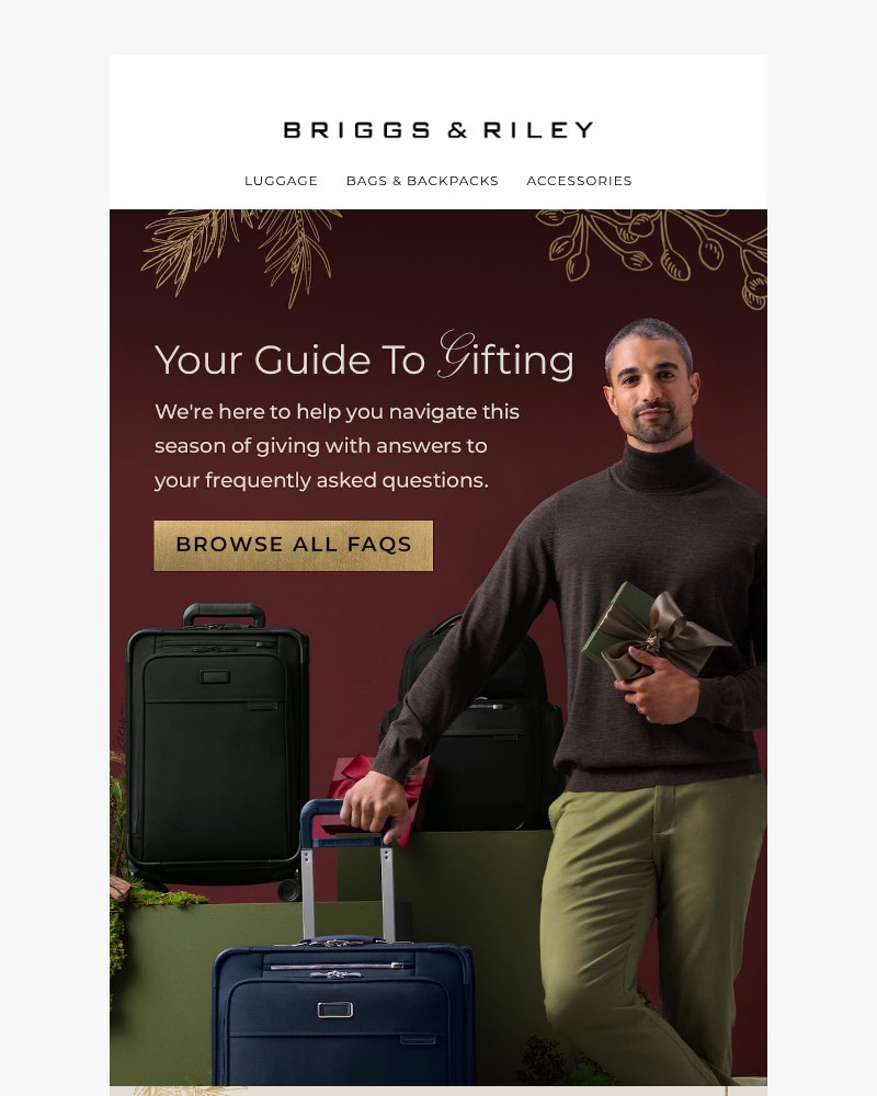 Screenshot of email with subject /media/emails/ensuring-a-smooth-landing-this-holiday-season-6370f6-cropped-bcde4d93.jpg