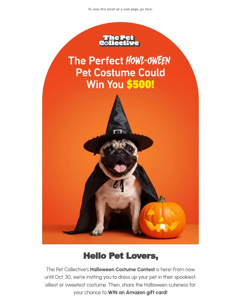 Screenshot of email with subject /media/emails/enter-our-pet-costume-contest-win-500-714fcd-cropped-8991501c.jpg