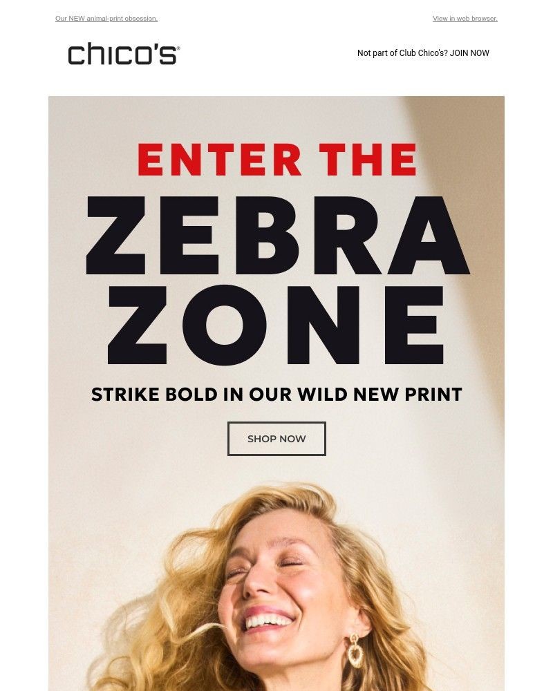 Screenshot of email with subject /media/emails/enter-the-zebra-zone-c2528e-cropped-e6d39895.jpg