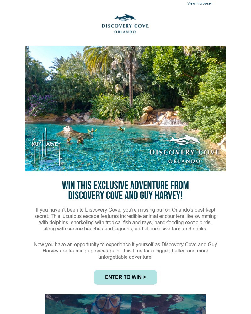 Screenshot of email with subject /media/emails/enter-to-win-a-trip-to-discovery-cove-and-a-guy-harvey-prize-package-a3dfcb-cropp_dgKbQeI.jpg