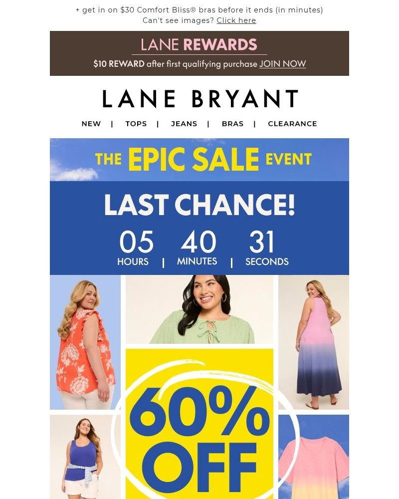 Screenshot of email sent to a Lane Bryant Newsletter subscriber