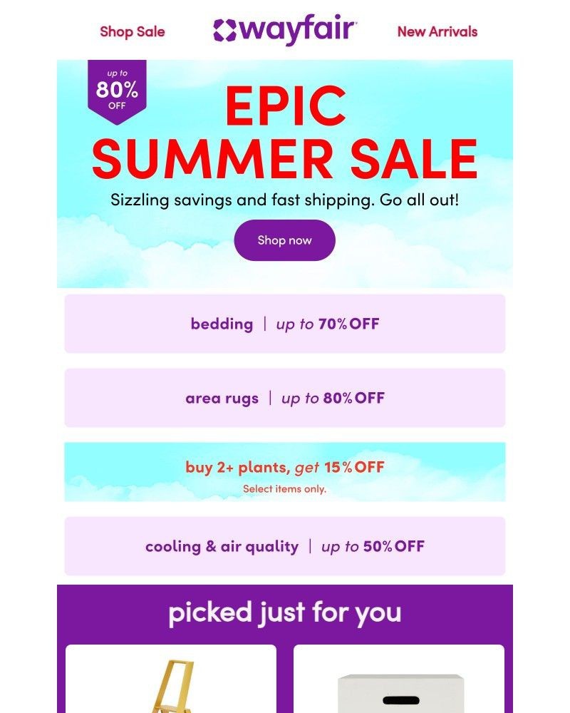 Screenshot of email with subject /media/emails/epic-summer-sale-644a33-cropped-91c6163b.jpg