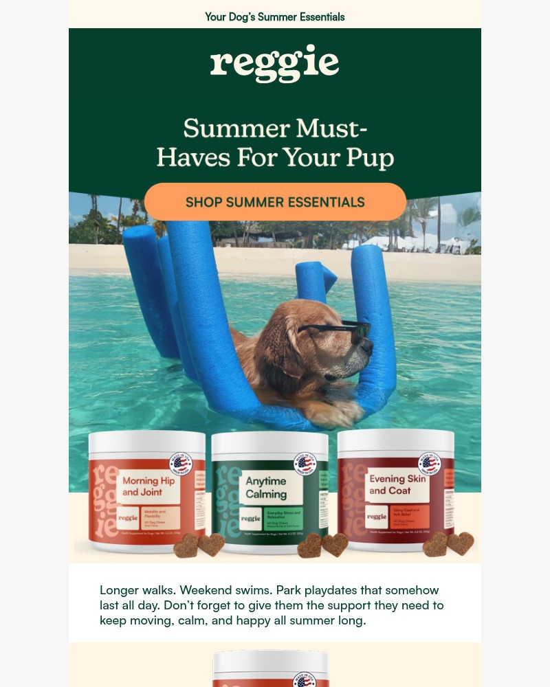 Screenshot of email with subject /media/emails/essential-summer-must-haves-for-happy-pets-ffa97b-cropped-f538566d.jpg