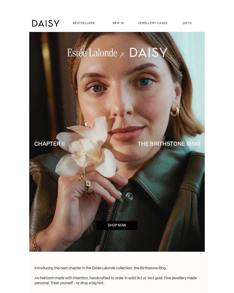 Screenshot of email sent to a Daisy Jewellery Newsletter subscriber