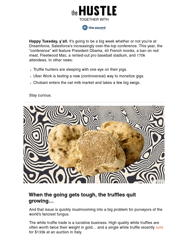 Screenshot of email with subject /media/emails/every-day-im-trufflin-cropped-d86fab55.jpg