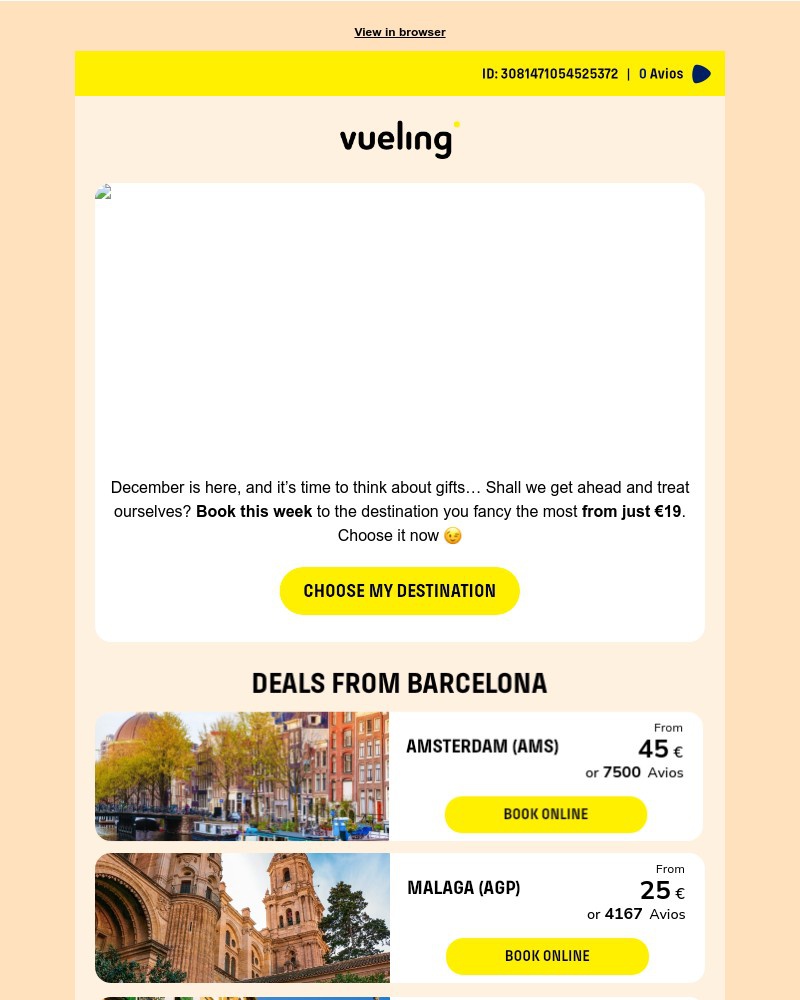 Screenshot of email sent to a Vueling Registered user