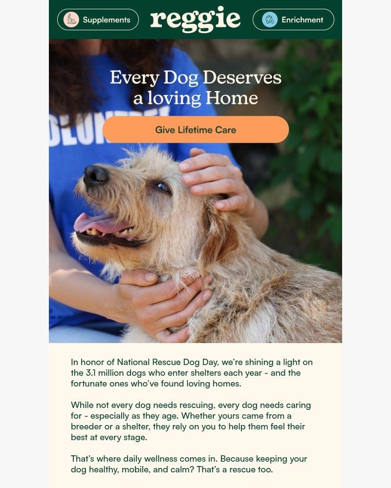 Screenshot of email with subject /media/emails/every-dog-deserves-love-care-90dac4-cropped-aa4adcc0.jpg