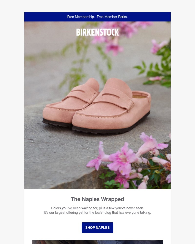 Screenshot of email with subject /media/emails/every-naples-wrapped-color-all-in-one-place-f7990e-cropped-a4fc8351.jpg