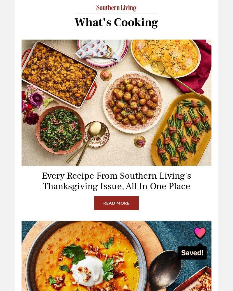Screenshot of email with subject /media/emails/every-recipe-from-southern-livings-thanksgiving-issue-all-in-one-place-d3afc5-cro_2vV9vYS.jpg