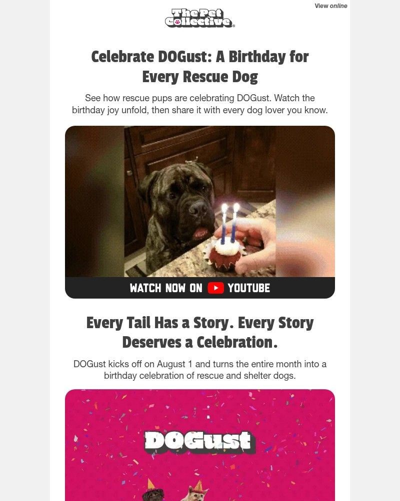 Screenshot of email with subject /media/emails/every-rescue-dog-deserves-a-birthday-c157c8-cropped-6d614a67.jpg