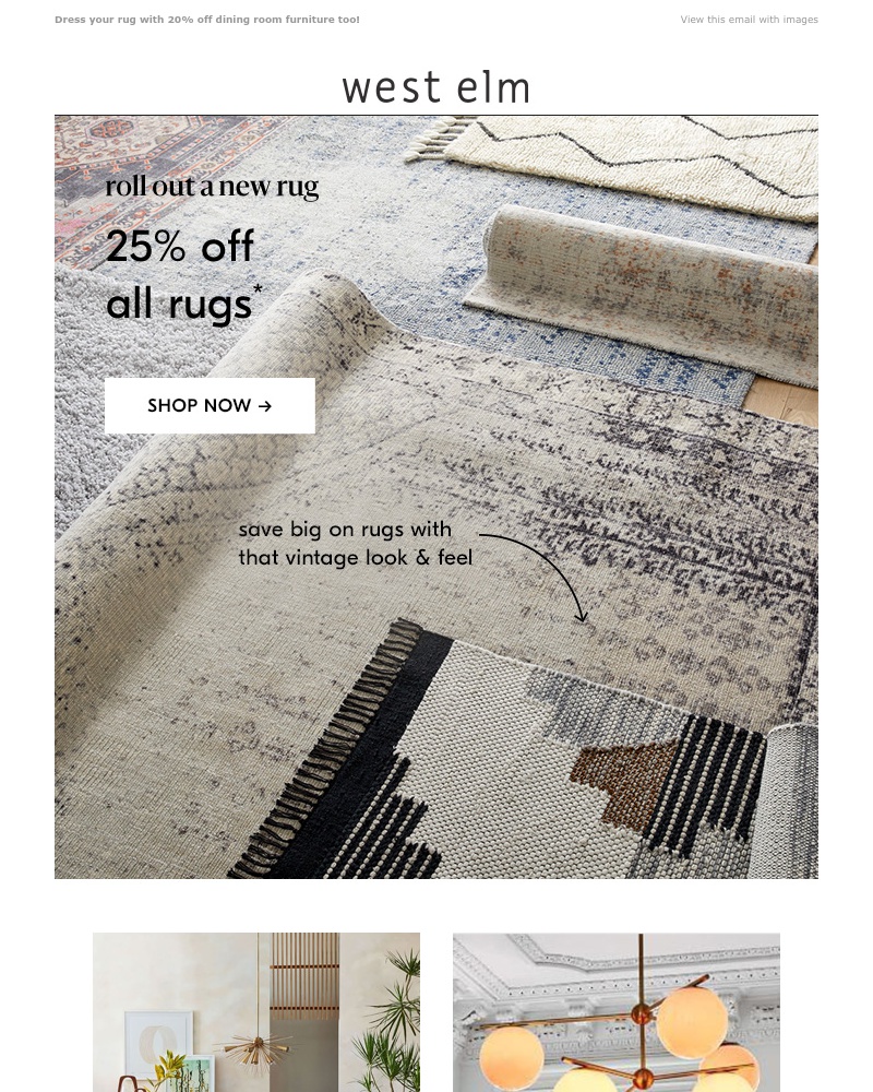 Screenshot of email with subject /media/emails/every-single-rug-is-on-sale-cropped-03a09225.jpg