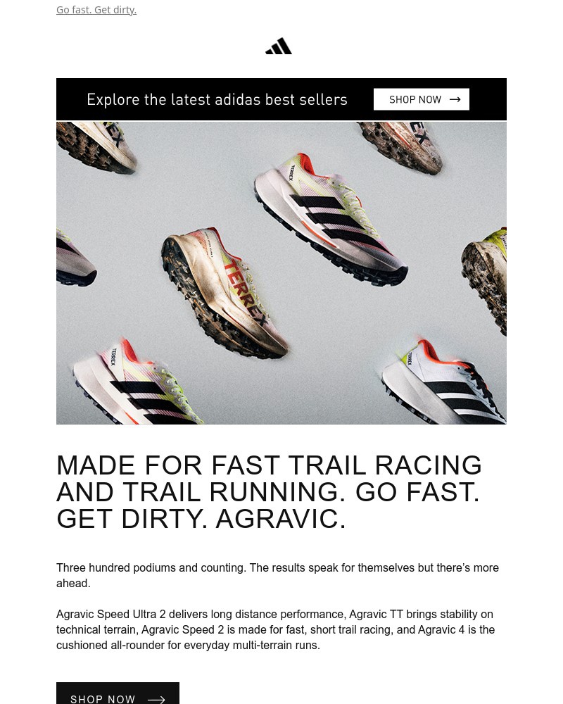 Screenshot of email with subject /media/emails/every-terrain-every-pace-one-agravic-family-aa88ab-cropped-c9849162.jpg