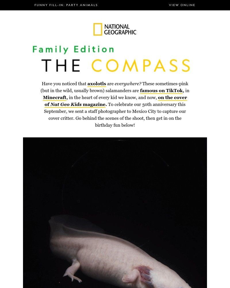 Screenshot of email with subject /media/emails/everybody-s-axolotls-4049db-cropped-74039a3e.jpg