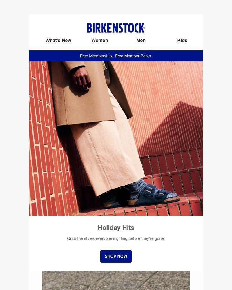 Screenshot of email with subject /media/emails/everyone-wants-these-this-year-dont-miss-them-77a066-cropped-33af719e.jpg