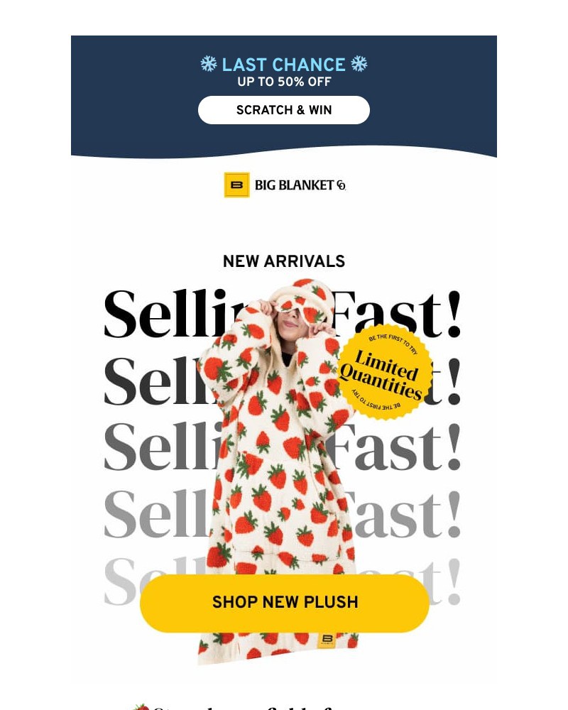 Screenshot of email sent to a Big Blanket Co. Newsletter subscriber