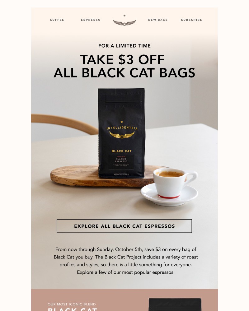 Screenshot of email with subject /media/emails/everyones-favorite-take-3-off-all-black-cat-bags-a6e67c-cropped-9b43481a.jpg