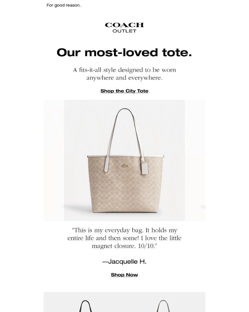Screenshot of email with subject /media/emails/everyones-go-to-tote-6ec1b2-cropped-3ecfddea.jpg