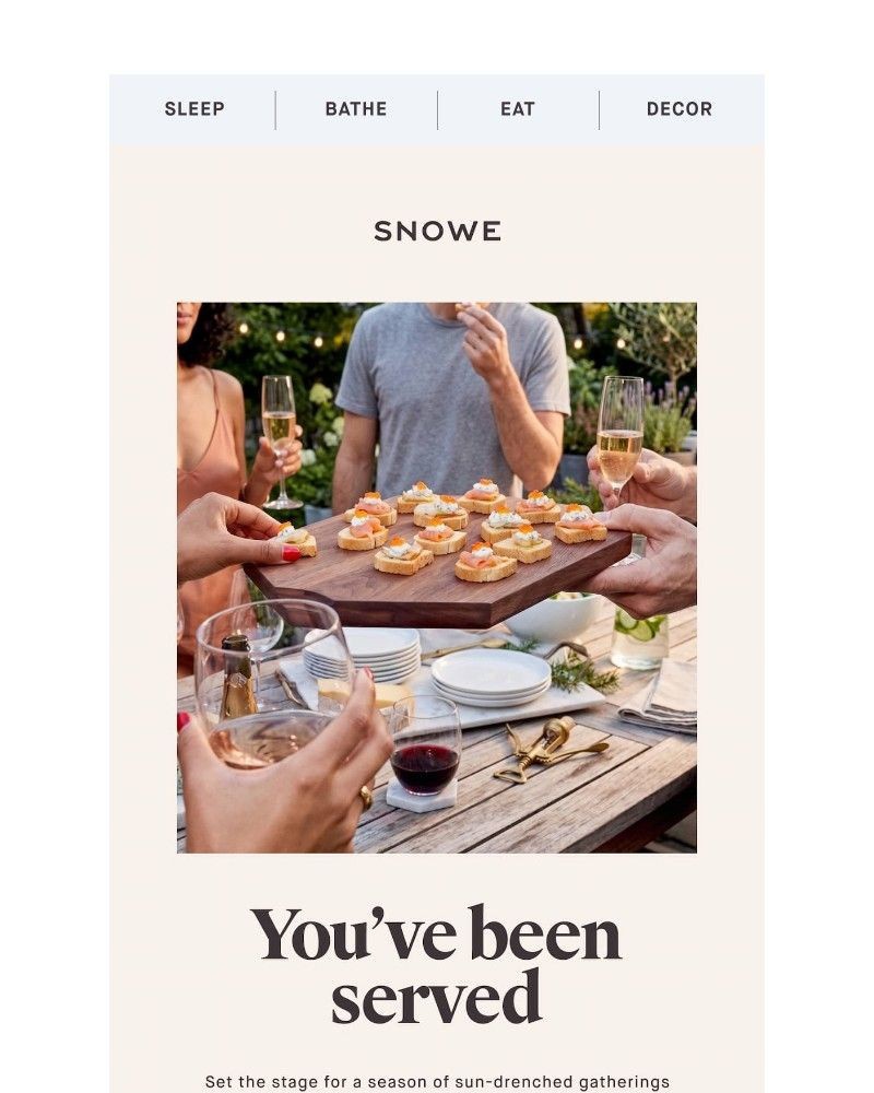 Screenshot of email sent to a Snowe Newsletter subscriber