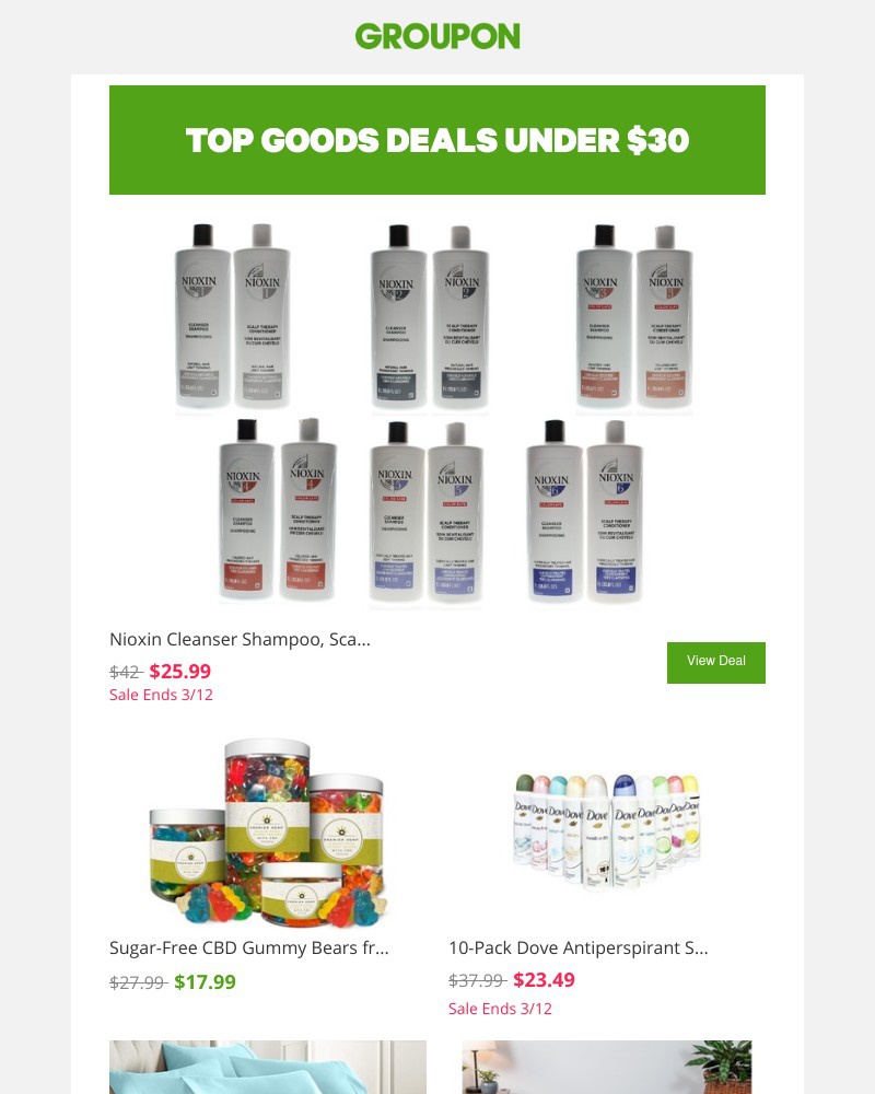 Screenshot of email with subject /media/emails/everything-in-here-is-less-than-30-1bc285-cropped-d95f4fbf.jpg