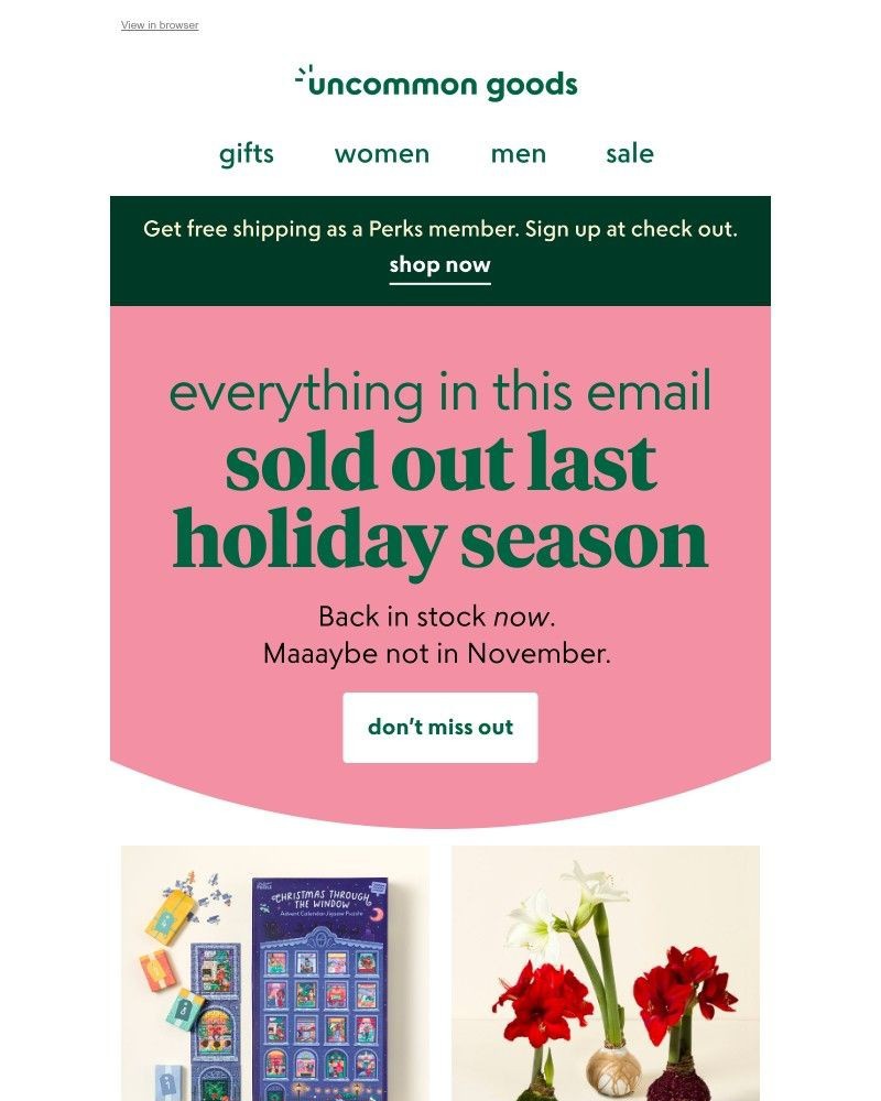 Screenshot of email with subject /media/emails/everything-in-this-email-sold-out-last-holiday-season-445c5d-cropped-8109859c.jpg
