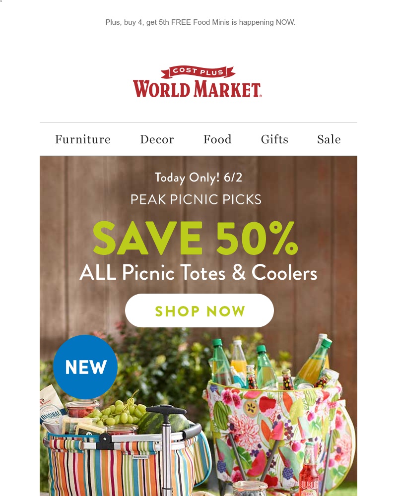 Screenshot of email with subject /media/emails/everything-you-need-for-a-picnic-is-on-sale1-day-only-cropped-68eaea38.jpg