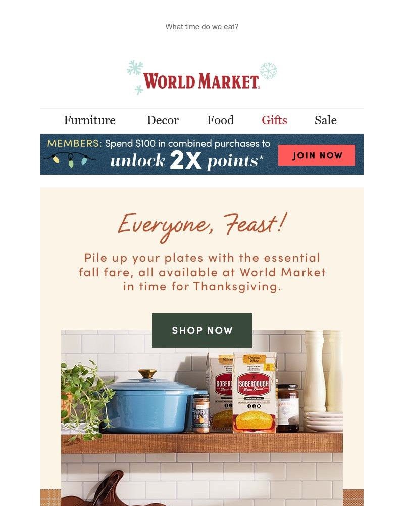Screenshot of email with subject /media/emails/everything-you-need-for-thanksgiving-is-here-a82b7d-cropped-3db03158.jpg